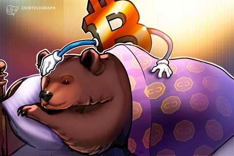 ‘Builders rejoice’: Experts on why bear markets are good for Bitcoin