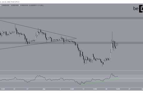 SHIBA INU (SHIB) Leads Dogecoin (DOGE) With 42% Increase Since June 18