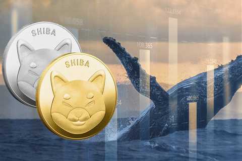 Shiba Inu Remains Largest Token Held by Whales as SHIB Price Rises 15% - Shiba Inu Market News