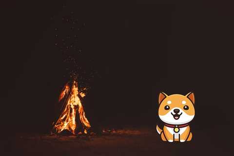 BabyDoge Coin’s upcoming burn party to eliminate 50 quadrillion tokens