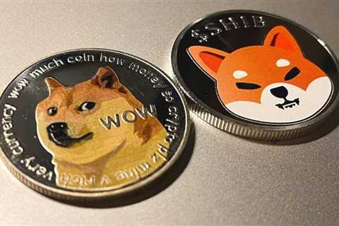 Shiba Inu and Dogecoin Witness a 30% Spike in Network Activity; Why?