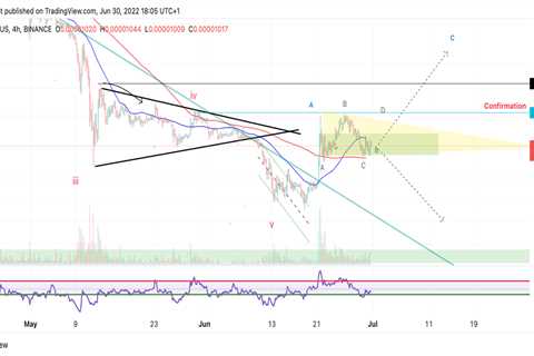 Shiba Inu price shows concerning signals - Shiba Inu Market News