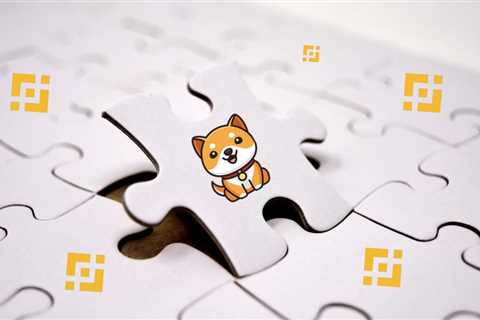 Binance’s CZ takes a jab at BabyDoge; Listing out of the picture?