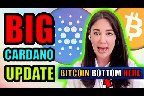 30% of Crypto Portfolio Now Cardano! Bitcoin Expert PRICE PREDICTION! 🚀 😮 📈