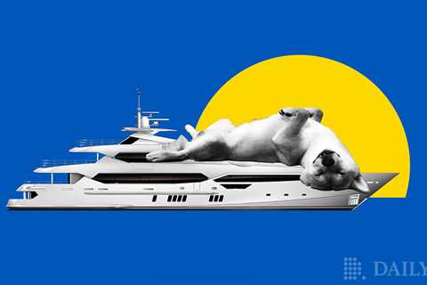 Book a Luxury Yacht with Shiba Inu (SHIB) or DOGE in the French Riviera - Shiba Inu Market News