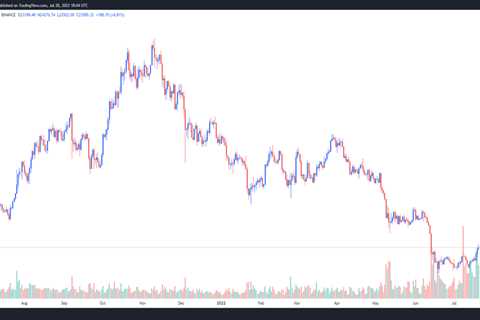 Bitcoin price hits $24K, but analysts say on-chain data points to an ‘inevitable’ pullback