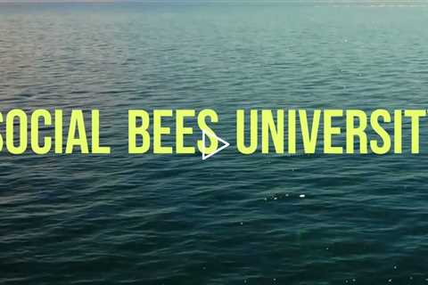 SBU Labs Launching The Bees To Blue-chip Status