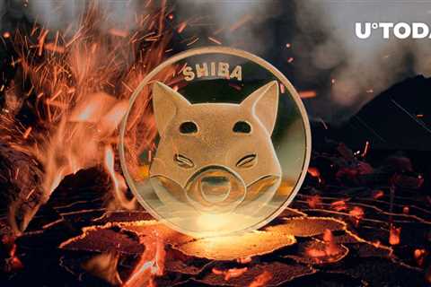 Shib Army Burns 150 Million SHIB in Last Few Days: Details - Shiba Inu Market News