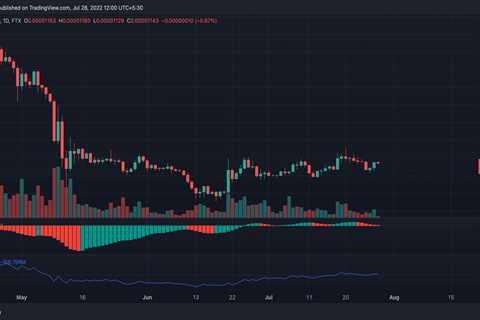 What ETH whales loading up $3.54m SHIB could mean for investors - Shiba Inu Market News