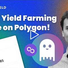 How To Make Money from AAVE Yield Farming on Polygon | Yield Farming Guide