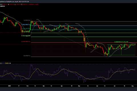 Dear SHIB investors, watch out for the crypto hitching on to this bandwagon - Shiba Inu Market News