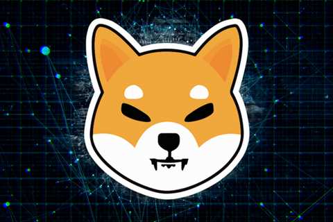 Shibarium TestNet could be just weeks away after SHIB holder makes discovery - Shiba Inu Market News