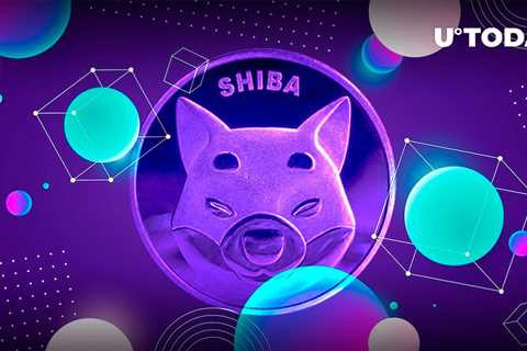 Shiba Inu Game Becomes Available for Testing, Meanwhile New Gameplay Video Emerges - Shiba Inu..