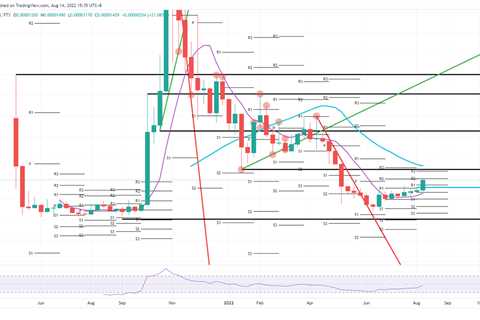 Why Shiba Inu is still set to pop 30% in August - Shiba Inu Market News