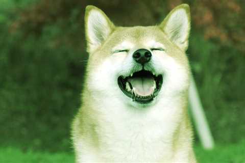 SHIB Spikes 30% On Sunday, Dogecoin Climbs - Shiba Inu Market News