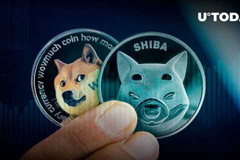 Shiba Inu, Dogecoin Post Gains as Meme Cryptocurrencies’ Trading Volumes Spike 151%