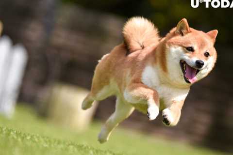 Shiba Inu (SHIB) Price Explodes, Dogecoin (DOGE) Storms Into Top 10