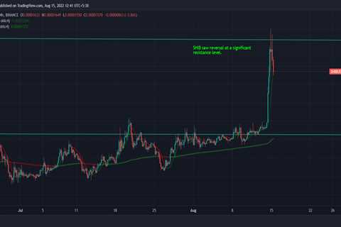 Shiba Inu, Dogecoin jump as risk-on behaviour returns to crypto markets - Shiba Inu Market News