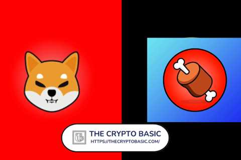 Shiba Inu Lead Developer Excited As Top Rated Multi Assets Trading Platform Hints BONE Listing