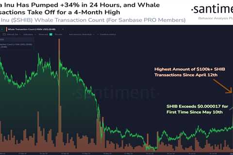 Shiba Inu price makes explosive move as optimism over Ethereum Merge spreads - Shiba Inu Market News