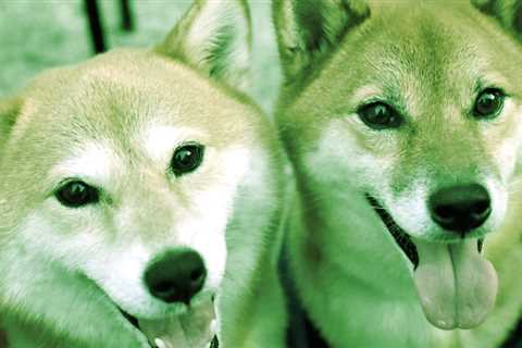 Shiba Inu, Dogecoin Up Double-Digits Over the Week