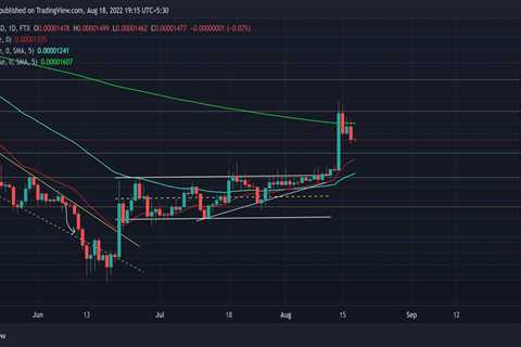 Shiba Inu [SHIB] holders' fortune prediction for next week - Shiba Inu Market News