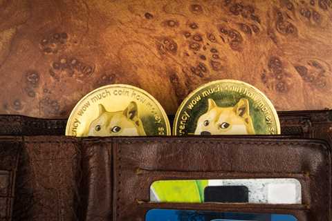 Crypto News, August 17: Who Let The Doge(chain) Out?