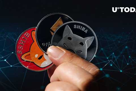 SHIB Keeps Being Actively Used by 500 Largest Ethereum Holders - Shiba Inu Market News