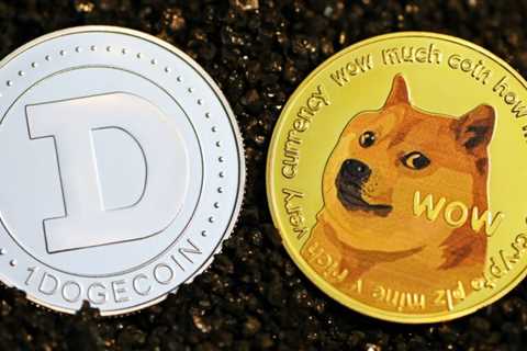 How Many Dogecoins Are There in Circulation and Who Holds the Most?