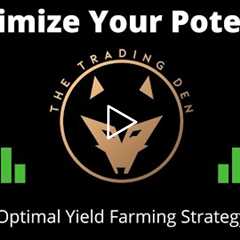 Optimal Yield Farming Strategy (Solana DeFi)
