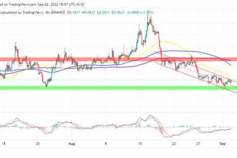 Dogecoin price may sprout to this level if bulls defend $0.06 support