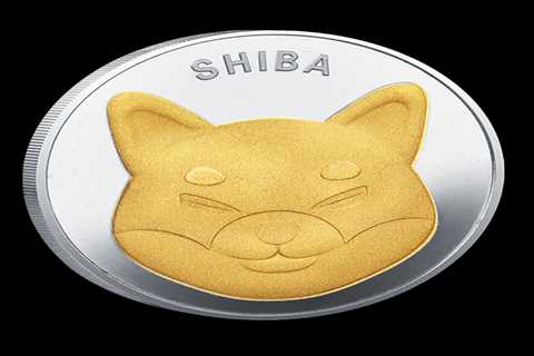 The Shiba Inu Crypto Inr Price