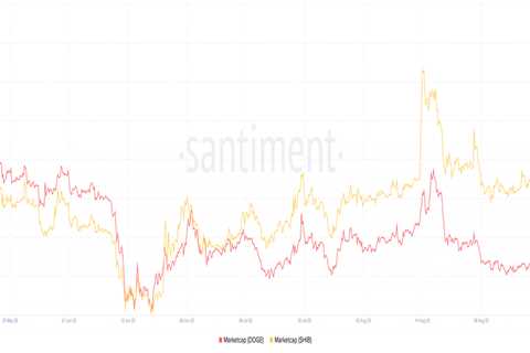 SHIB could dethrone DOGE sooner than expected- Decoding ‘why’ - Shiba Inu Market News