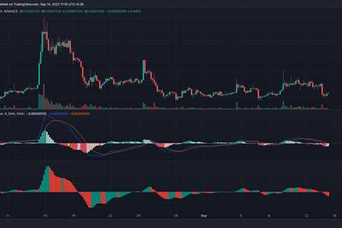 Shiba Inu's short-term bottom is almost in, here's the proof - Shiba Inu Market News