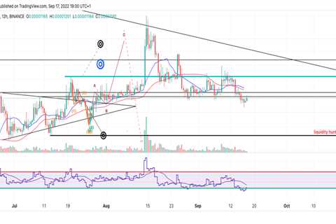 Why the Shiba Inu price could lose 20% of market value this month - Shiba Inu Market News