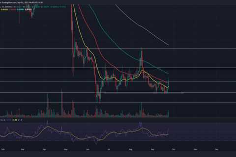 Dogecoin Recovery Initiated With $0.065 Breakout; When Can You Enter?