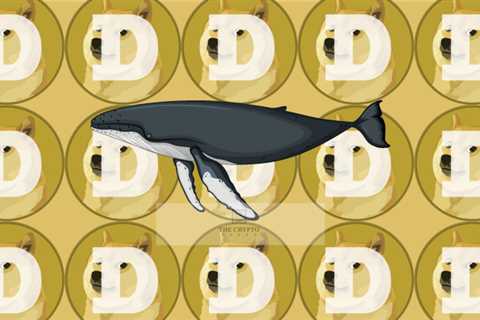 Well known Blockchain Tracker Whale Alert Adds Support for Dogecoin – The Crypto Basic