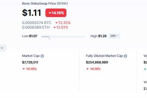 Shiba Inu's BONE Sees 205% Rise in Volume as Price Tumbles, What's Happening? - Shiba Inu Market..