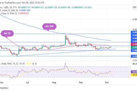 SHIB Price Might Make Significant Move per This Indicator: Details