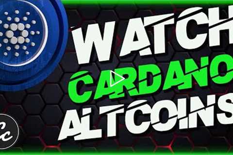 TOP CARDANO ALTCOINS WITH HUGE POTENTIAL