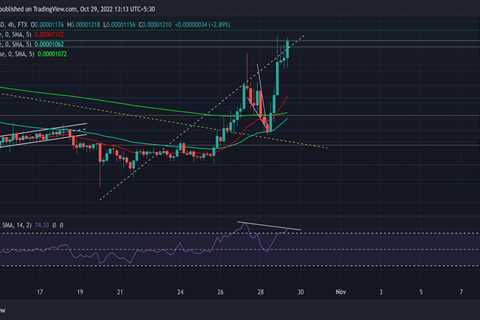 Shiba Inu: Gauging SHIB's potential to continue rising after this breakout - Shiba Inu Market News