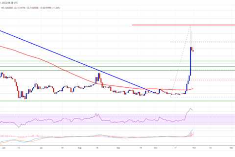 Dogecoin (DOGE) Mammoth Rally Takes Break, Why Dips Turned Attractive