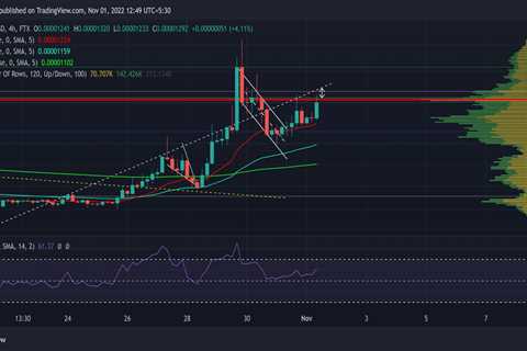 Decoding Shiba Inu's potential targets amidst its current bull run - Shiba Inu Market News