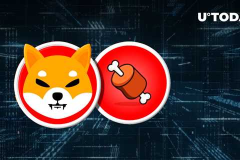 Shiba Inu's BONE Token Now Listed on Another Crypto Exchange - Shiba Inu Market News