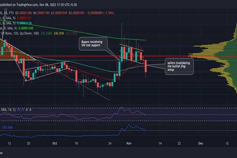 Anticipating Shiba Inu's [SHIB] likely path after this breakdown - Shiba Inu Market News