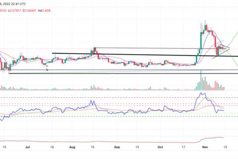 Dogecoin price might head south for the Winter as whales consider offloading