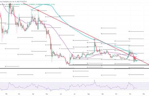 Shiba Inu price sees whales continuing their path as SHIB is unmoved by Polish blast