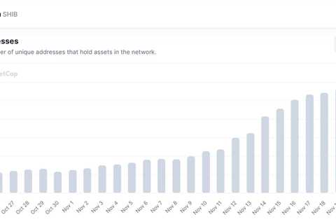 SHIB adds 50,000 new holders in a month as investors brush off price decline - Shiba Inu Market News