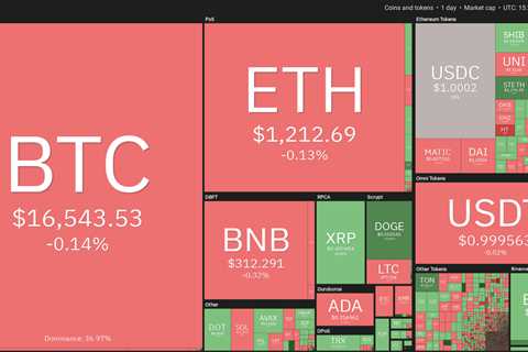 Bitcoin price consolidation has shifted traders to these 4 altcoins