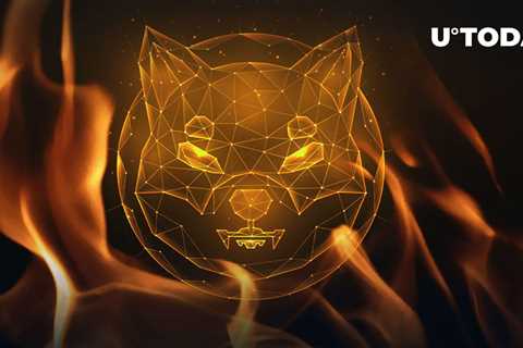 Millions of SHIB Burned in Three Big Transactions, Price Regains Key Level - Shiba Inu Market News